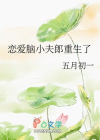 恋爱脑小夫郎重生了